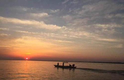 ���ڰ���������