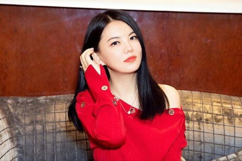 ���蹤�̷��漰���֪ʶ���������蹤�̷��棩