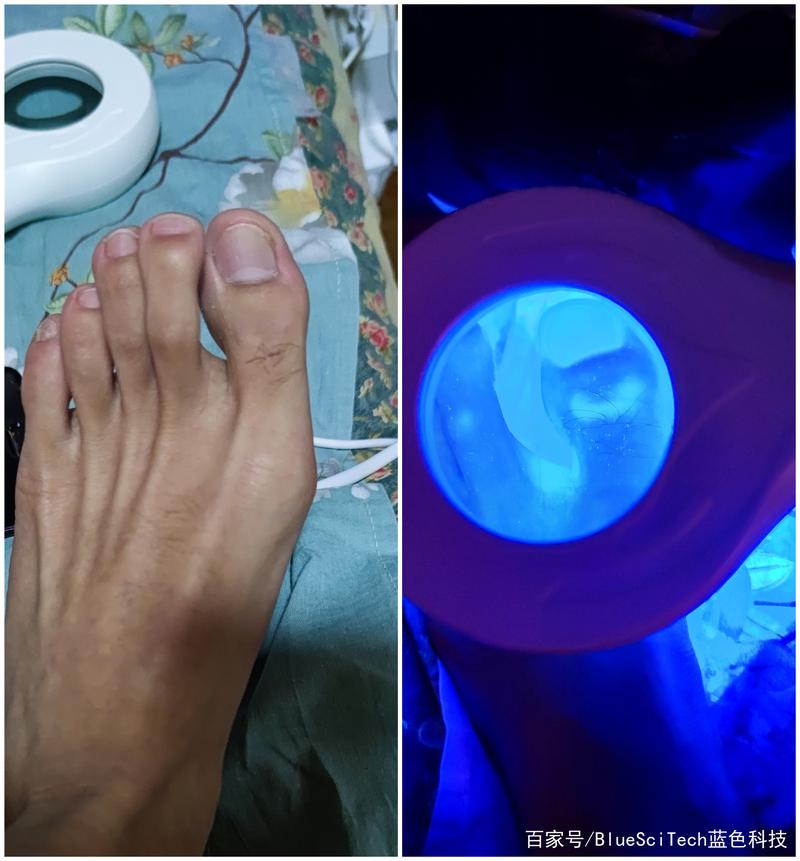 ��˿���������ư���