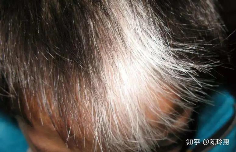 七堇年 生如夏花 即使生命如尘,仍愿岁月如歌 七堇年 七堇年 生如夏花 即使生命如尘,仍愿岁月如歌 七堇年
